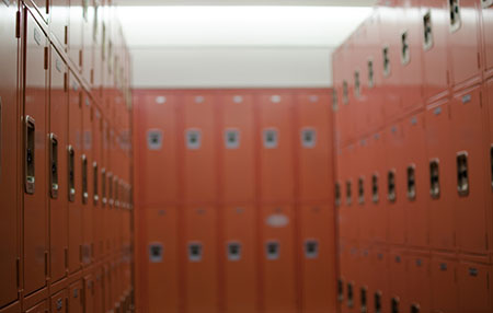 Electrostatic Painted Lockers in Georgia