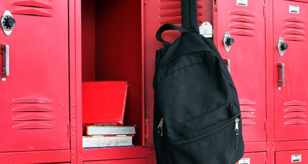 Electrostatic Painted Lockers in Michigan